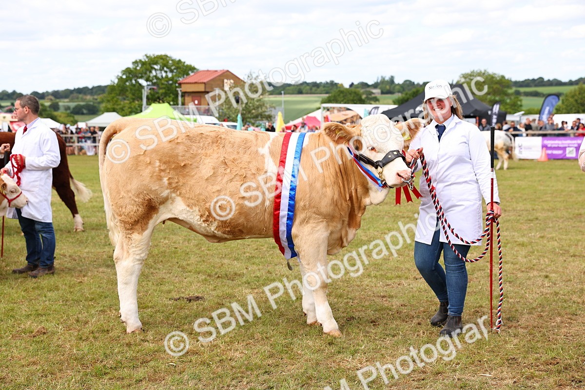 SBM_17079 - Grand Parade