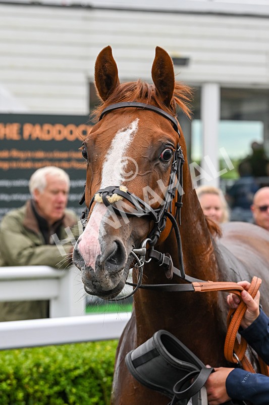 100724-Race 3-Wondrous Ways-4913 - Race 3