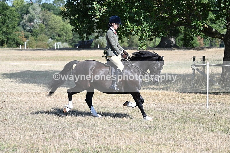 WJ7_3711 - Class 9 Mountain & Moorland Ridden