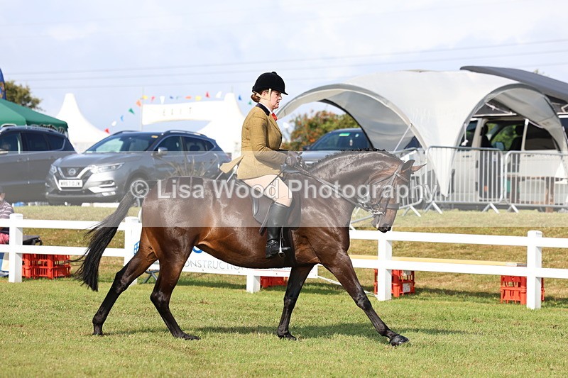 3E7A8584 - Class 3: Rising Star S/L Hunter