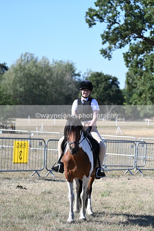 WJ7_2195 - Class 44 Child's Best Friend