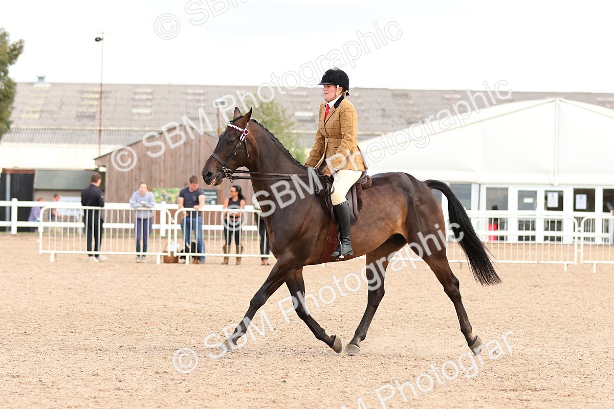 SBM_16269 - Class 217 - Ridden Retired Racehorse