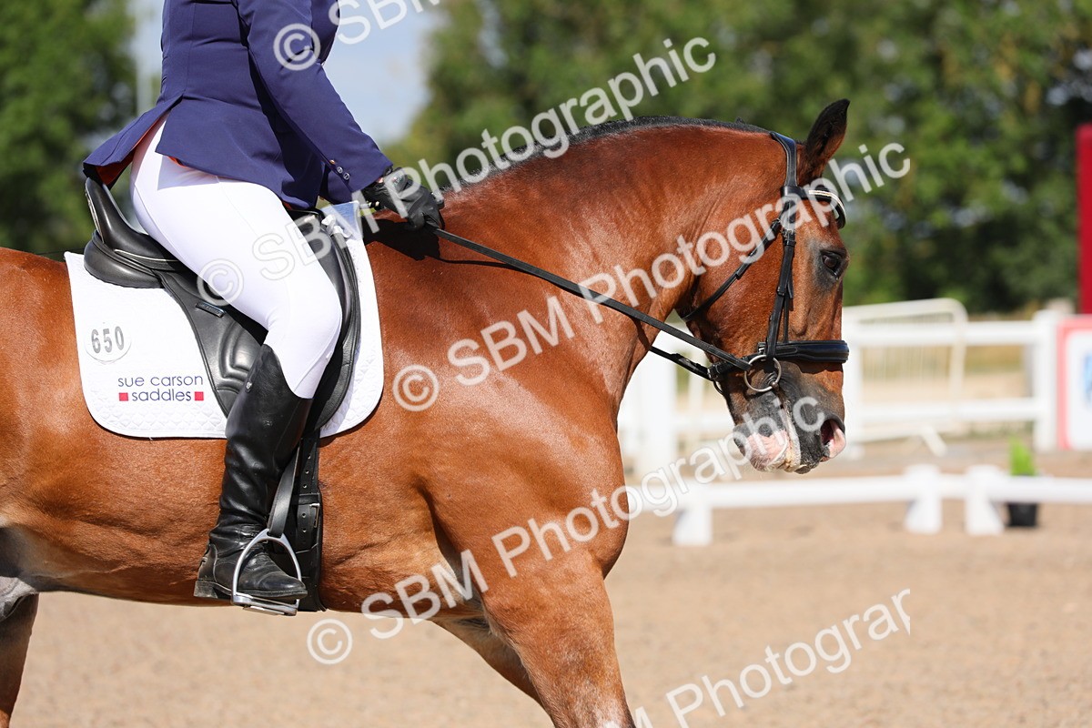 SBM_03841 - Class 31 Prelim 1