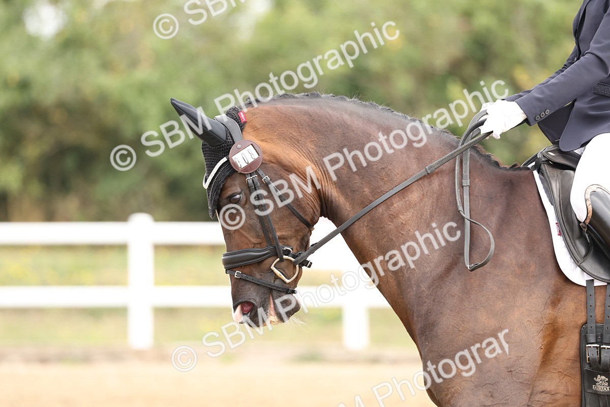 SBM_005494 - Class 6 - Novice 6 - 9.30-10.12