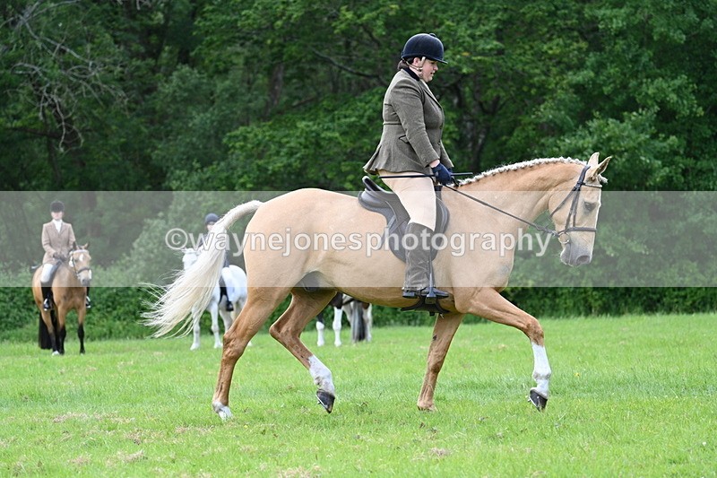WJ7_2497 - Class 12A Coloured Class