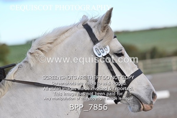 BPP_7856 - LONG ARENA