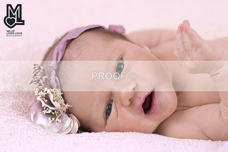 DSC_5844portfolio - Newborn Photoshoots