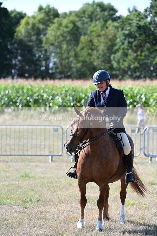WJ7_3661 - Class 9 Mountain & Moorland Ridden