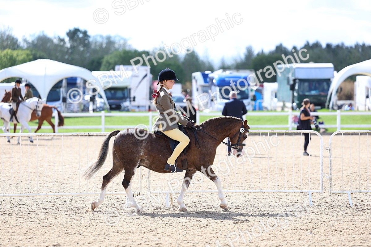 SBM_13249 - Class 311 - Ridden Show Pony Show Hunter Pony