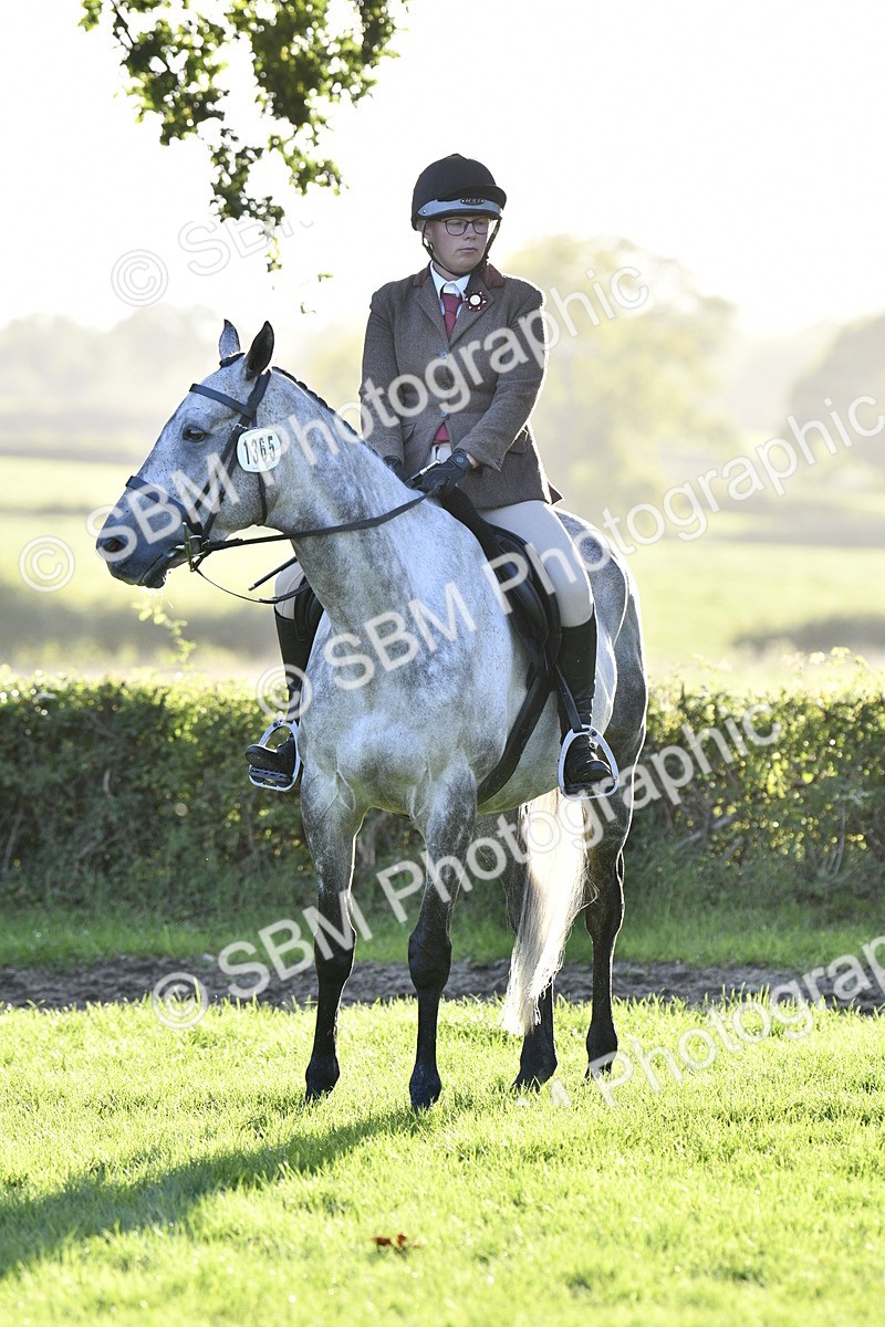 SBM_53576 - S14 - Riding Club Horse