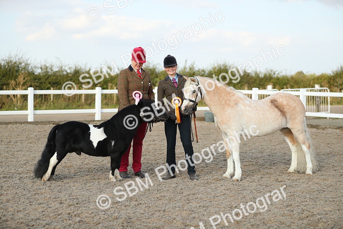 SBM_09132 - Class 29 IH Veteran Pony