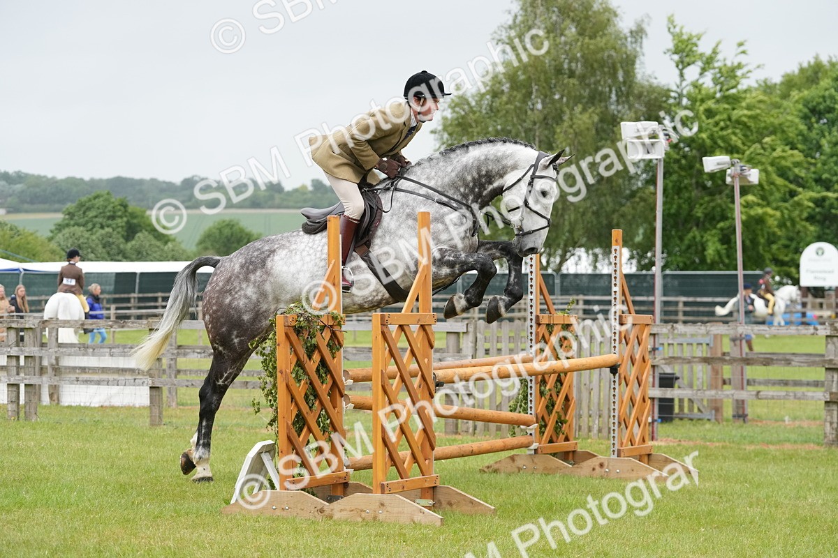 SBM_12615 - Class 97-98 - LIHS BSHA Rising Star Working Show Horse Hunter