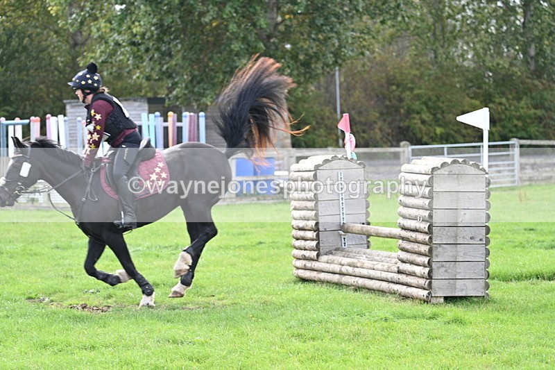 WJ7_8366 - 60cm Pairs