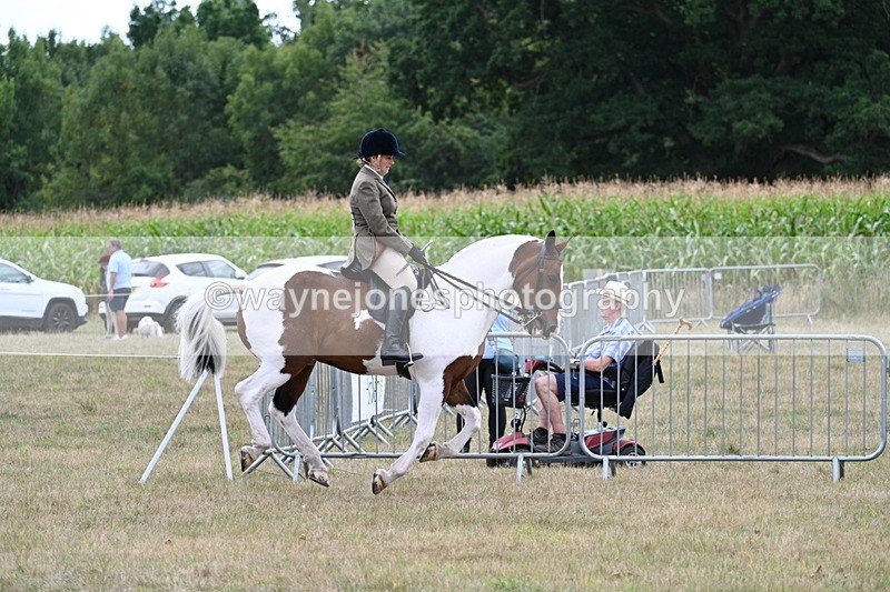 WJ7_5223 - Class 12 Ridden Cob