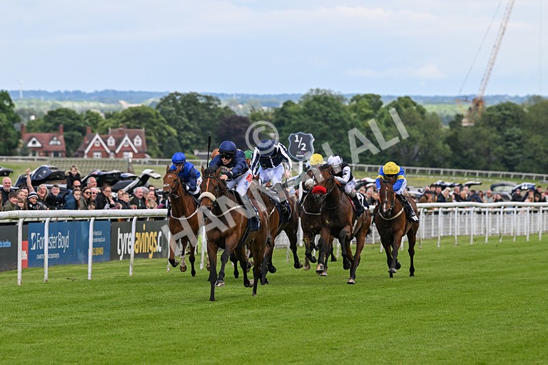 290524-Race 2-Powdering-5646 - Race 2