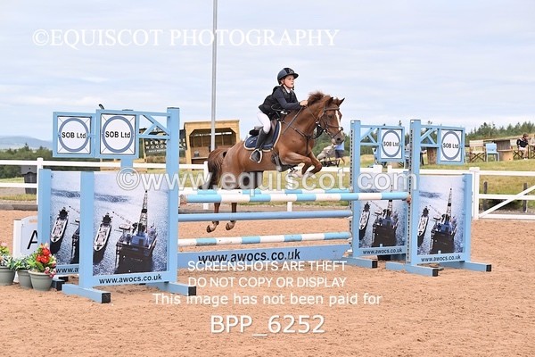 BPP_6252 - SUN CLASS 50 Horse of The Year Show 138cms Qualifier