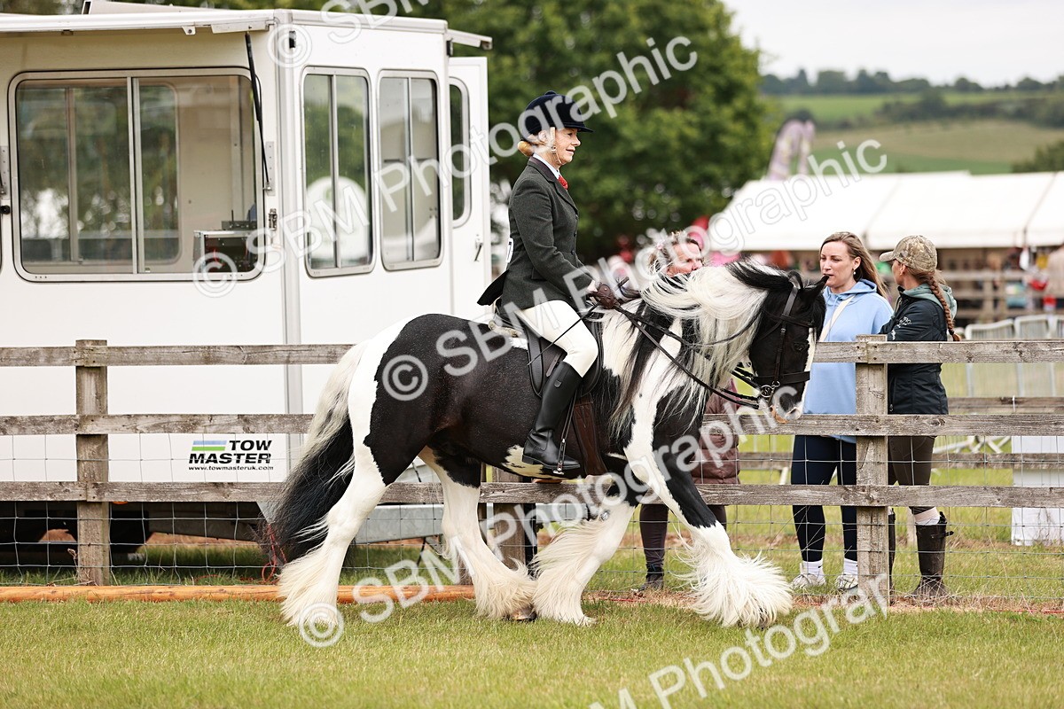 SBM_06106 - Class 39-41 TGCA In Hand and Ridden