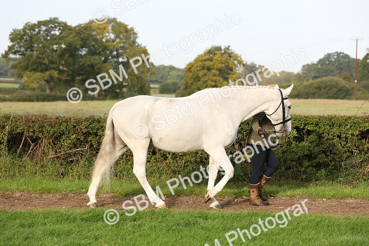 SBM_54659 - S53 - Hunter In Hand