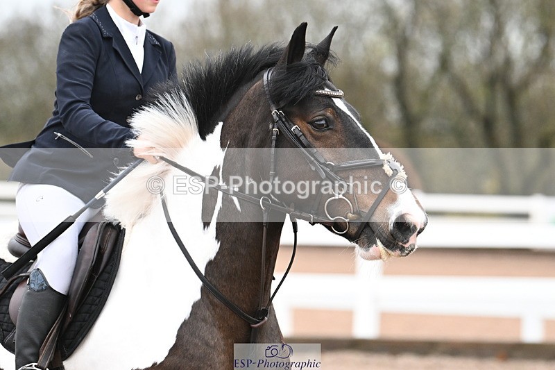 231118A-092454-00377 - Cls 2 BlueChip Pony Novice Qualifier