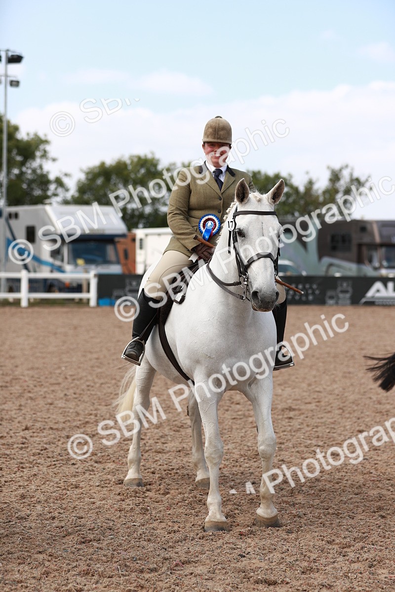 SBM_14922 - Class 212 Ridden Hunter - Small