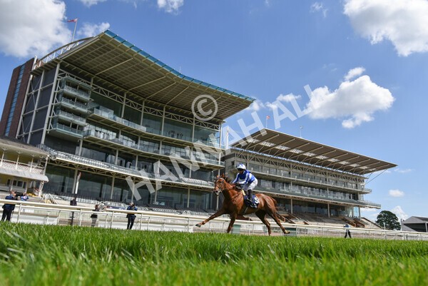 yr13052021r2-17 - Race 2 2.10pm Al Basti Equiworld Dubai Middleton Fillies' Stakes