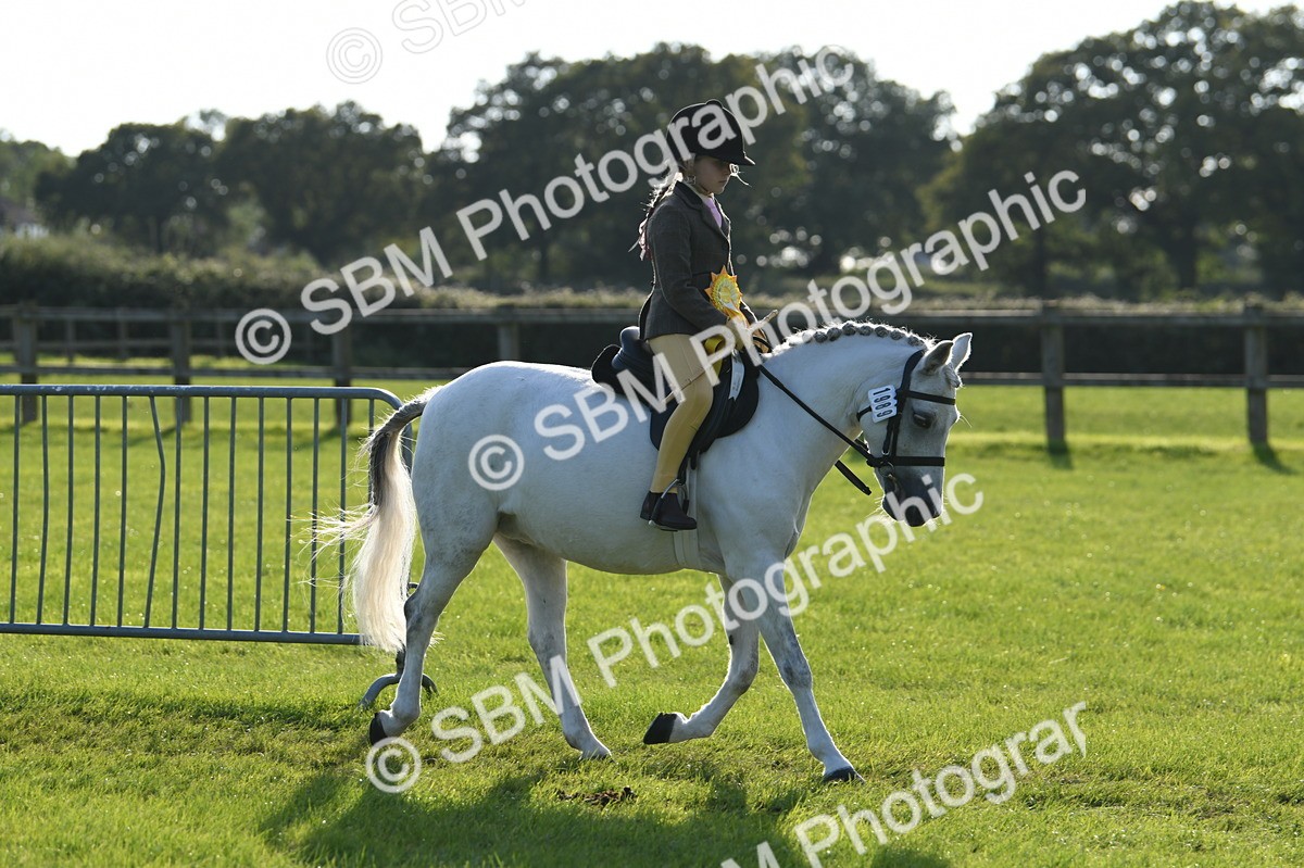 SBM_52478 - S22 - 1st Ridden Show & Show Hunter Pony