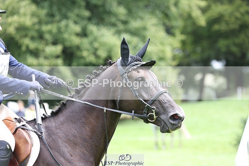 230805-123035-02110 - SJ 11.55 to 13