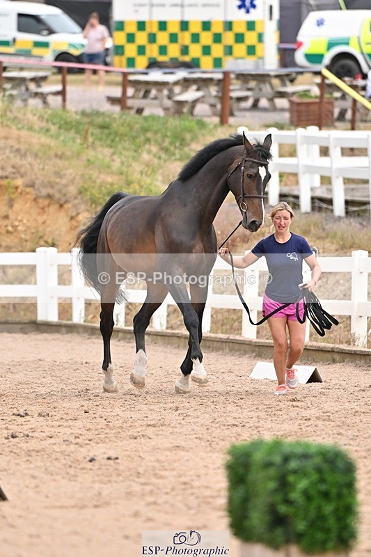 250716-153003-01963 - Trot Up 3.30 to 4.30