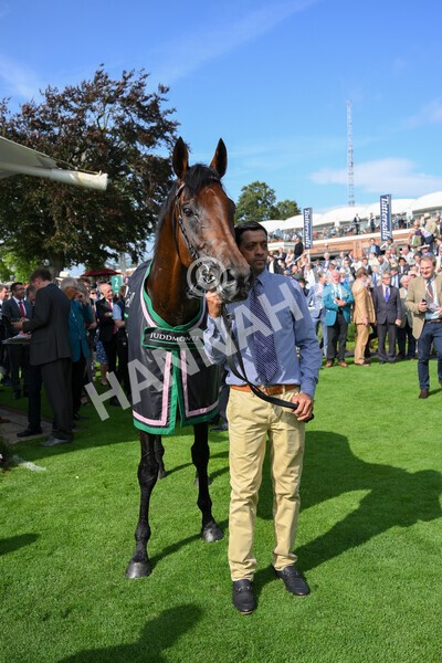 yr18082021r4-156 - Race 4 3.35pm Juddmonte International Stakes (British Champion Series race)