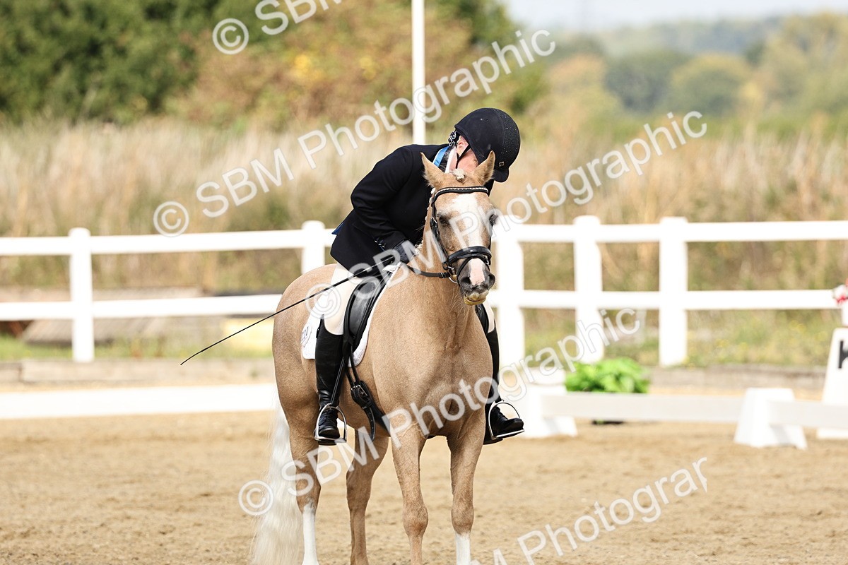 SBM_018223 - Class 16 - Novice 5 - 11.12-12.01