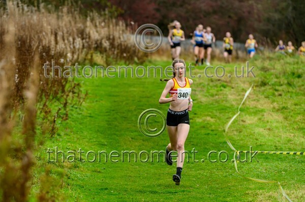 WestRLY25-923452 - Young Female Set One