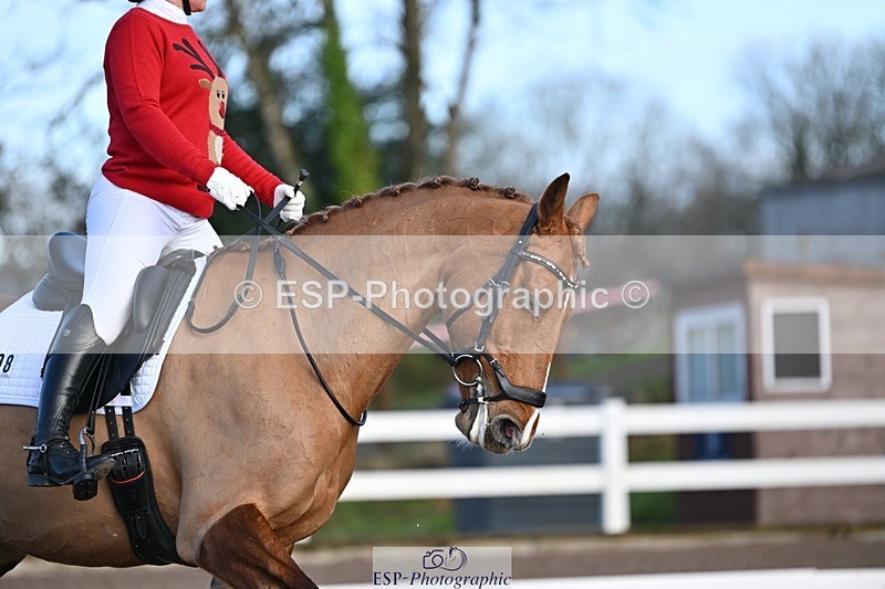 241214-100947-01104 - 108-Pippa.Knight-KFS.Boston.Burglar