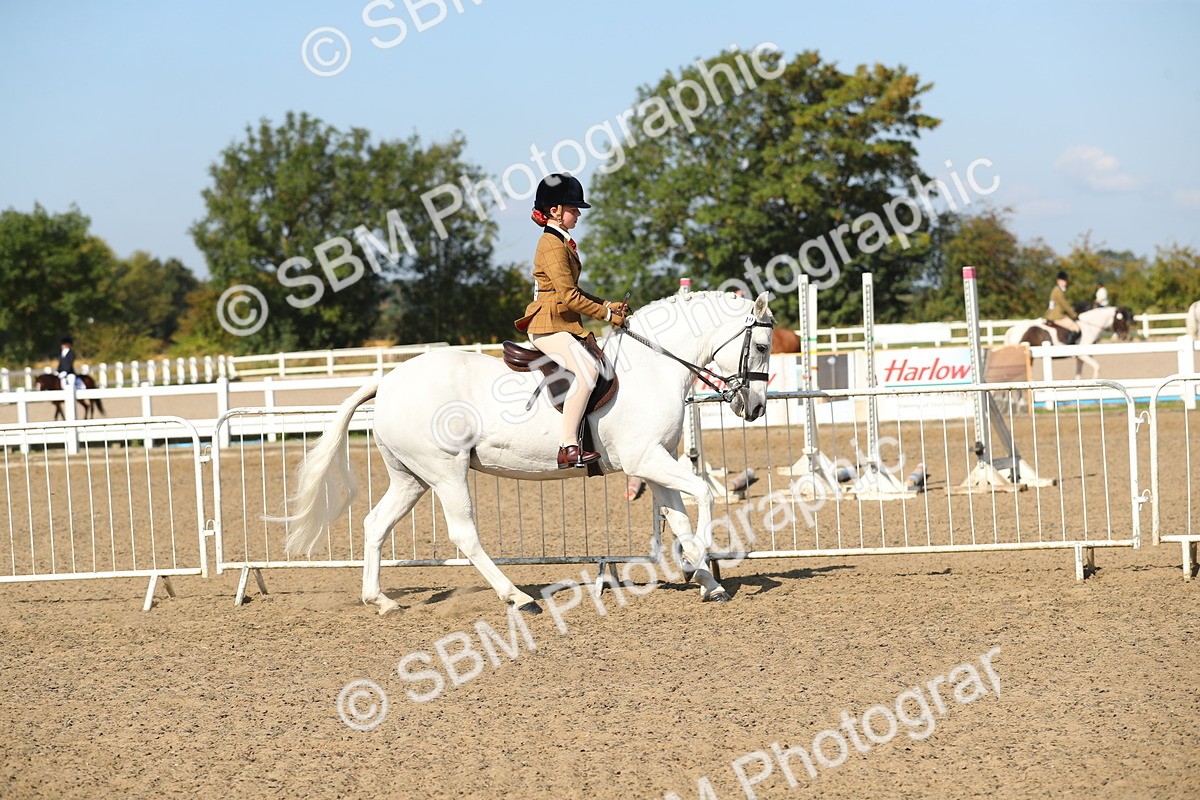 SBM_02223 - Class 43 Ridden Competition Horse/Pony