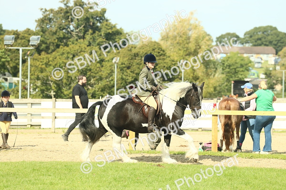 SBM_68810 - S58 - Mini Show Cob Ridden