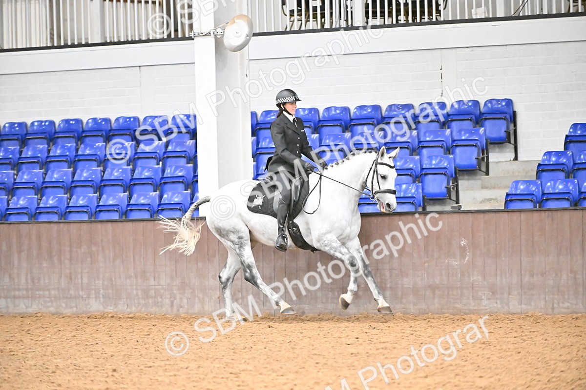 SBM_002663 - Class 28,29 - Ridden Irish & Coloured