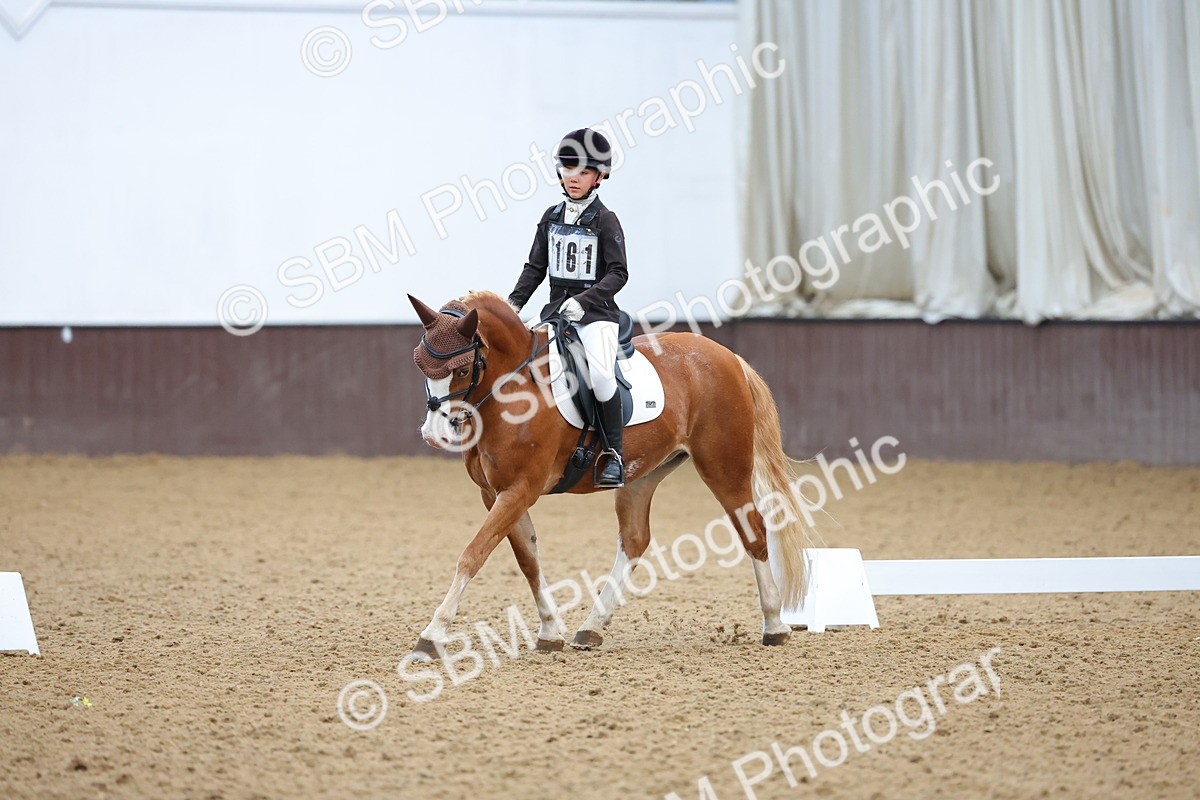 SBM_002956 - Novice