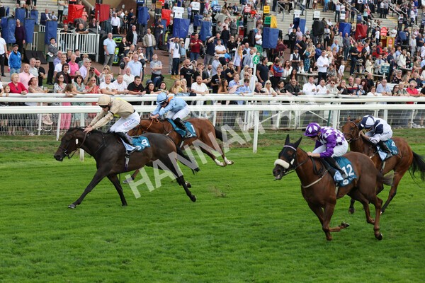 yr04092022r7-22 - Race 7 5.15pm Firmament Stakes