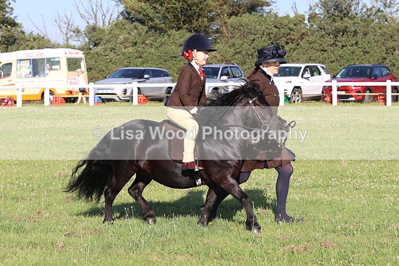JPP_0840 - Class 16: Cornish Combination Leading Rein