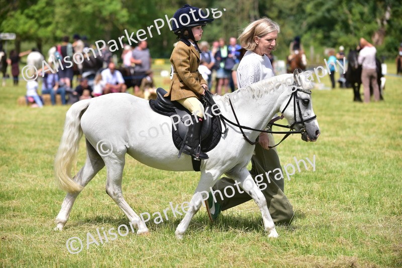20260614-1263 - Class 11a - Lead Rein Pony (Unplaited)