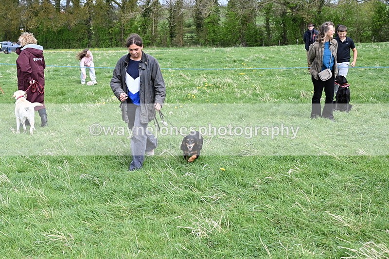 WJ6_8353 - Class 4 Prettiest Bitch