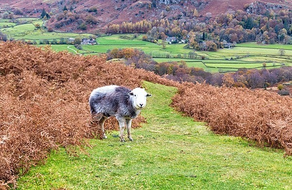  - Lake District, UK