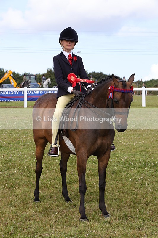 1X9A3922 - Class 31: Show Pony 148cm and under