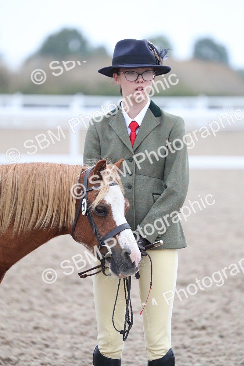 SBM_17979 - Class 317 IH Pure bred Horse/Pony