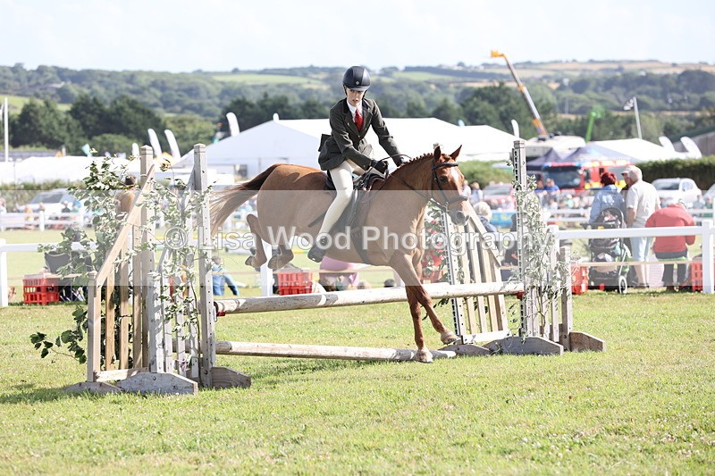 JPP_2730 - Class 20: Working Hunter 70cm