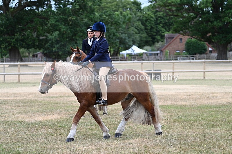 WJ7_0447 - Class 2 Best rider