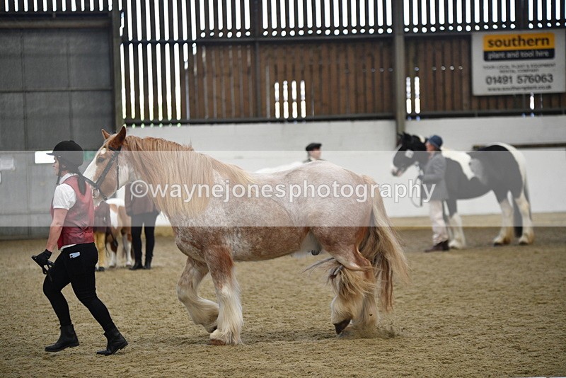 WJ5_4777 - Class 7 In hand coloured / odd coloured