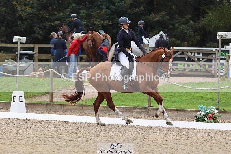 241024-141828-03815 - 160-Gaby.Bull-MILESTONE.GOLD