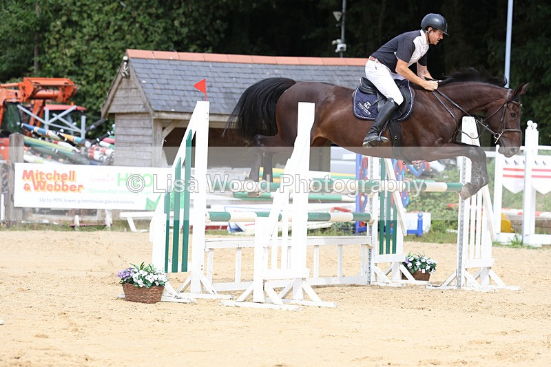 3E7A4399 - Class 8: Senior Foxhunter/1.20 open