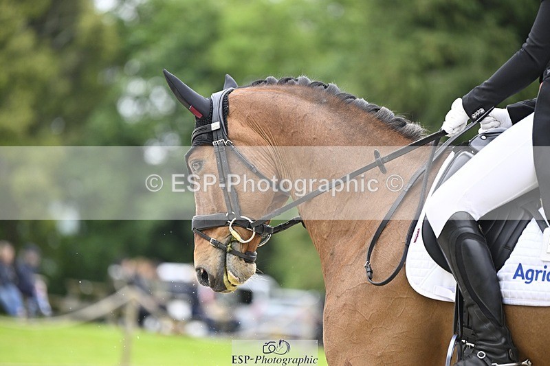 240523-170718-05632 - 450-CEDARMOUNT_CAVALIER-Grace_Cooper