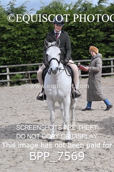 BPP_7569 - RING 1  (RIDDEN HORSES / IN HAND / VETERAN ETC)